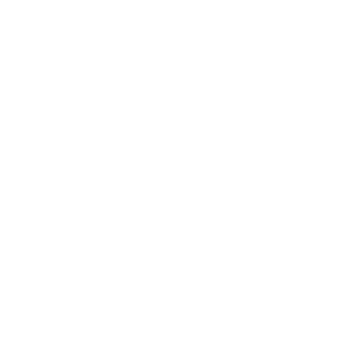 Accessibility Icon